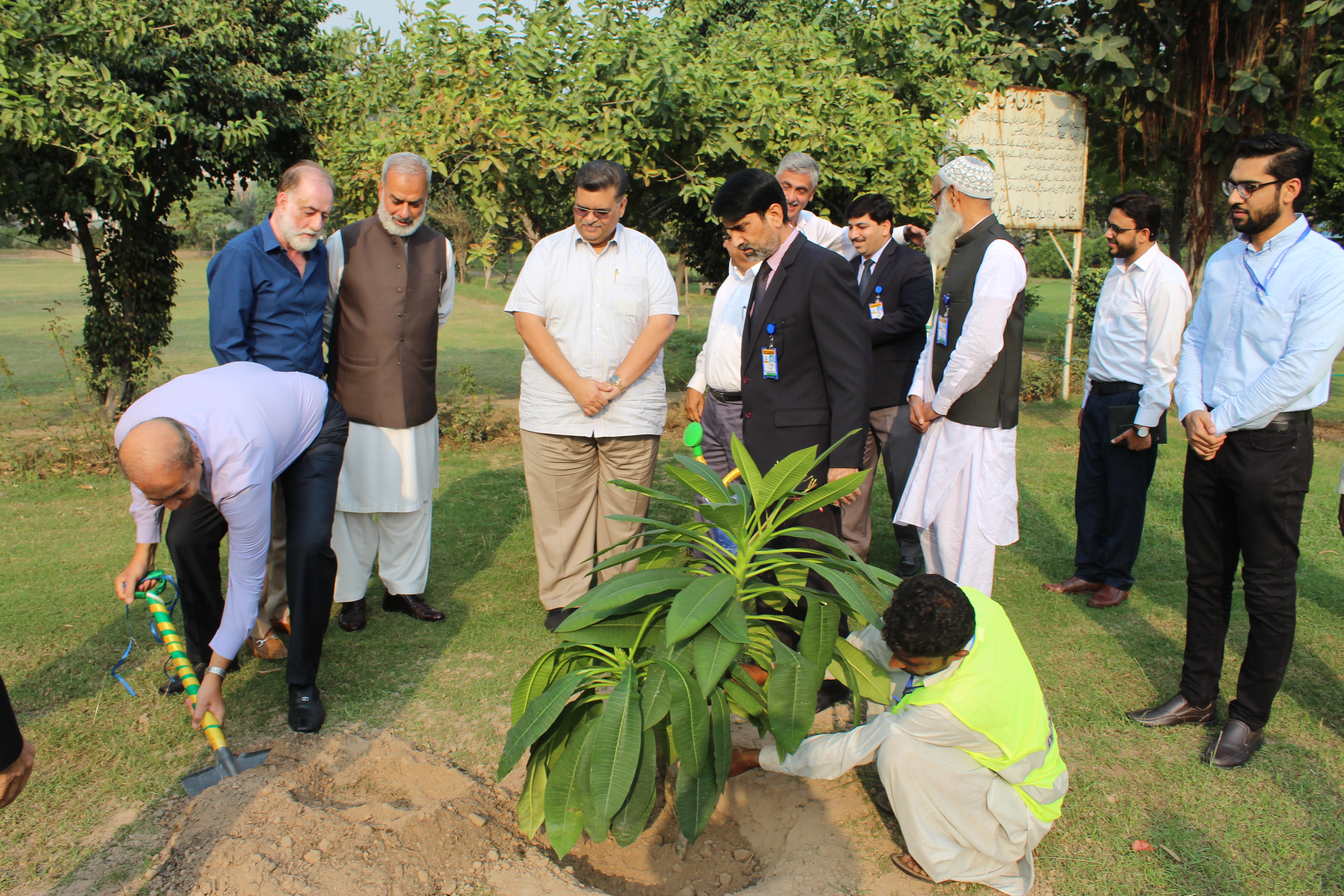 Plantation Pic